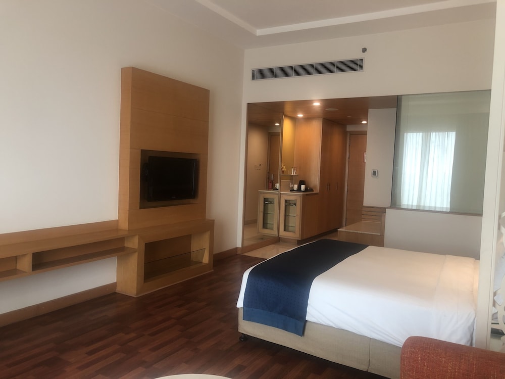 Room, 1 King Bed, Accessible photo 3