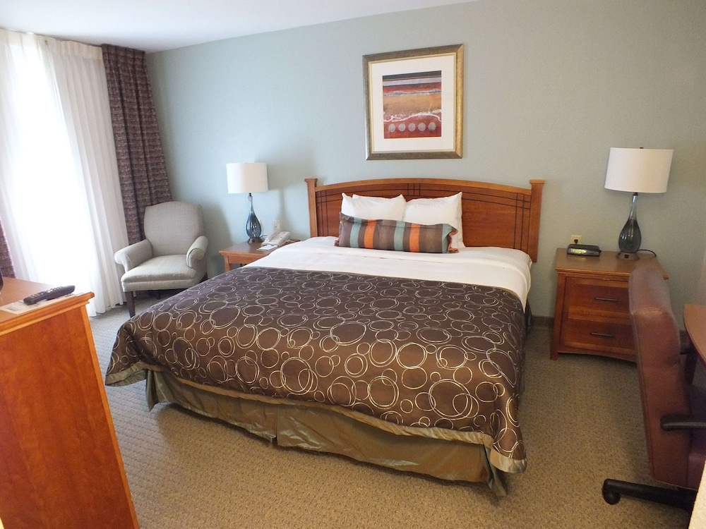Suite, 1 King Bed with Sofa bed (One Bedroom) photo 1