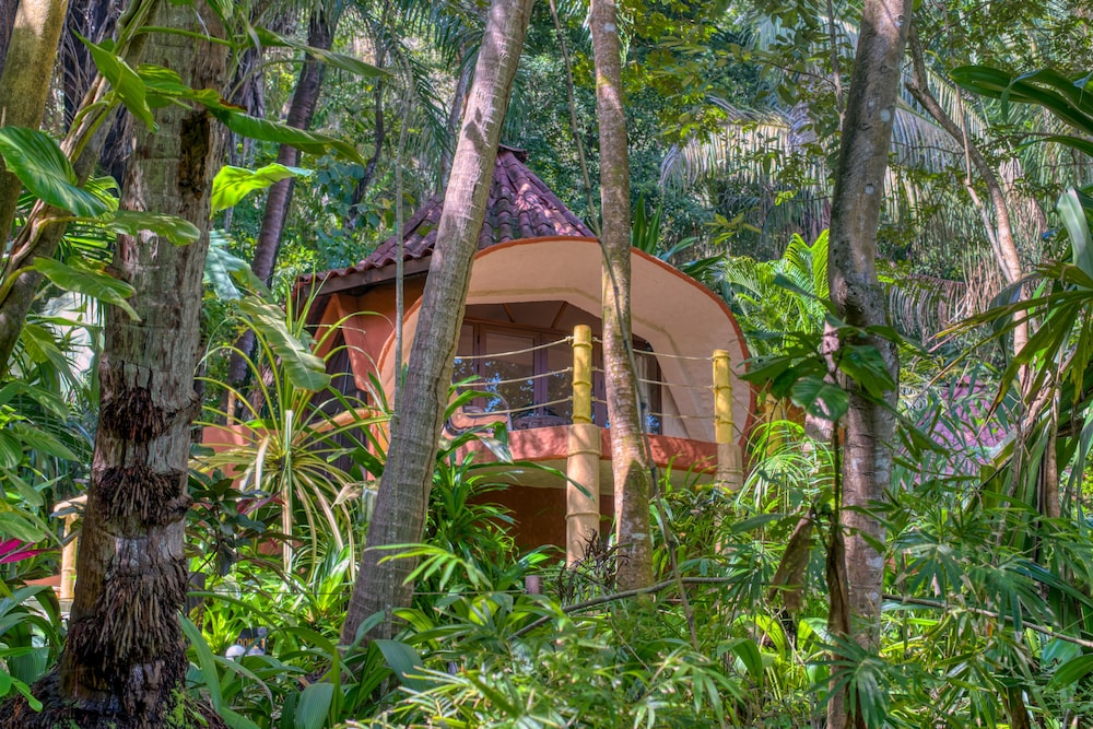 Bungalow, 1 King Bed, Garden View, Garden Area (Garden Bungalow) photo 3
