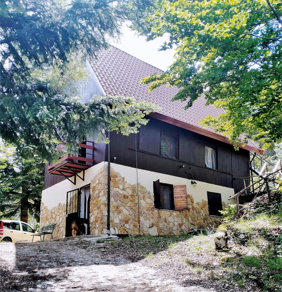 House photo 1