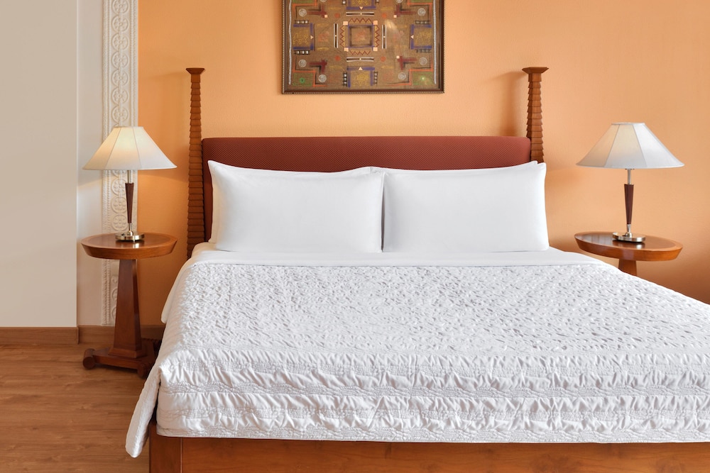 Room, 1 King Bed