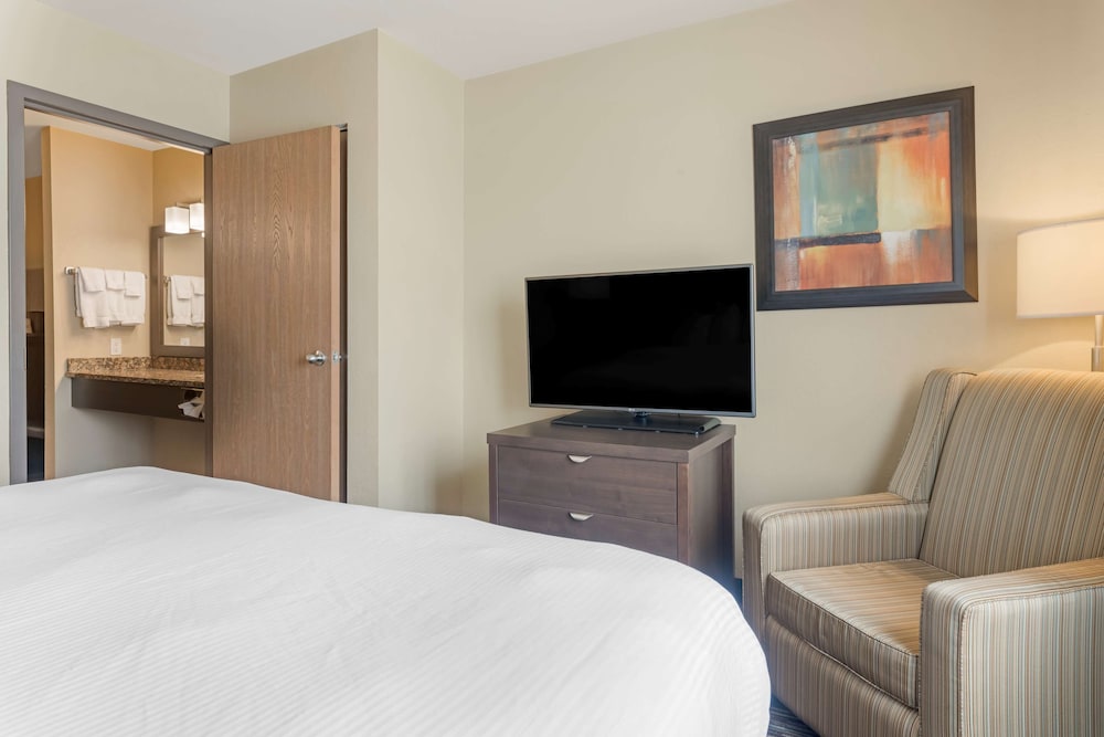 Suite, 1 King Bed, Non Smoking (Larger Room;with Sofabed) - Photo 2
