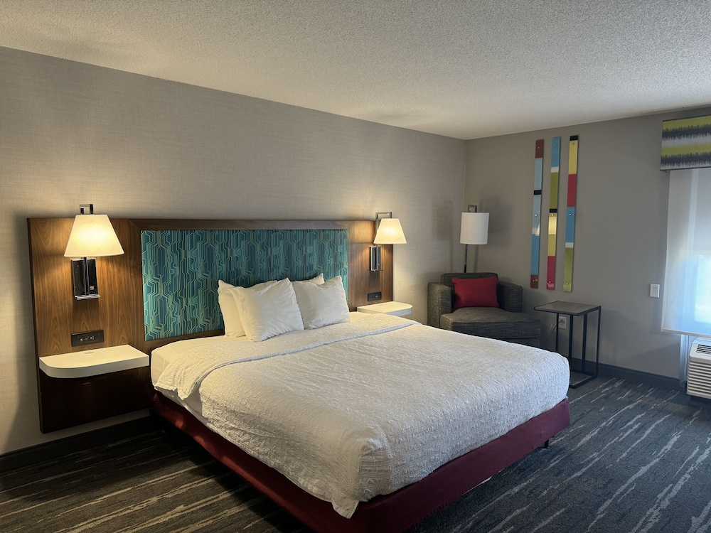 Room, 1 King Bed, Accessible, Non Smoking (Mobility & Hearing, Roll-in Shower) - Photo 4