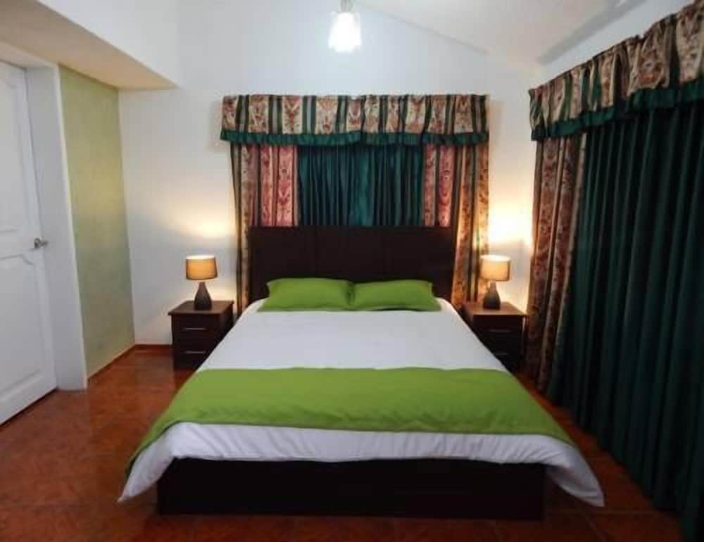 Room, 1 King Bed photo 2