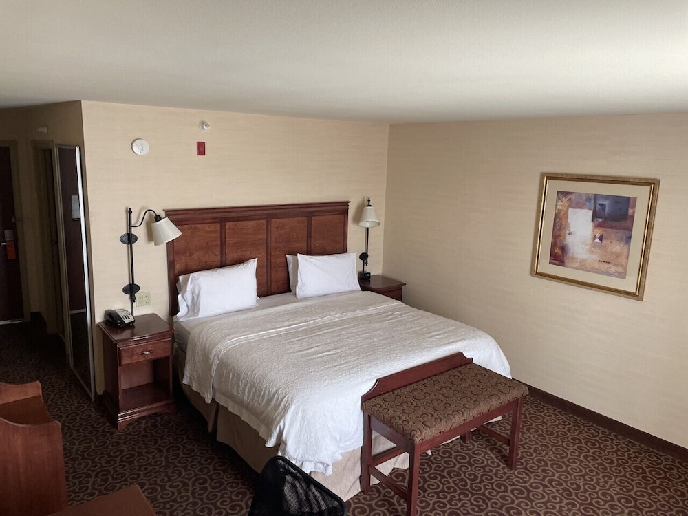 Room, 1 King Bed, Accessible - Photo 3