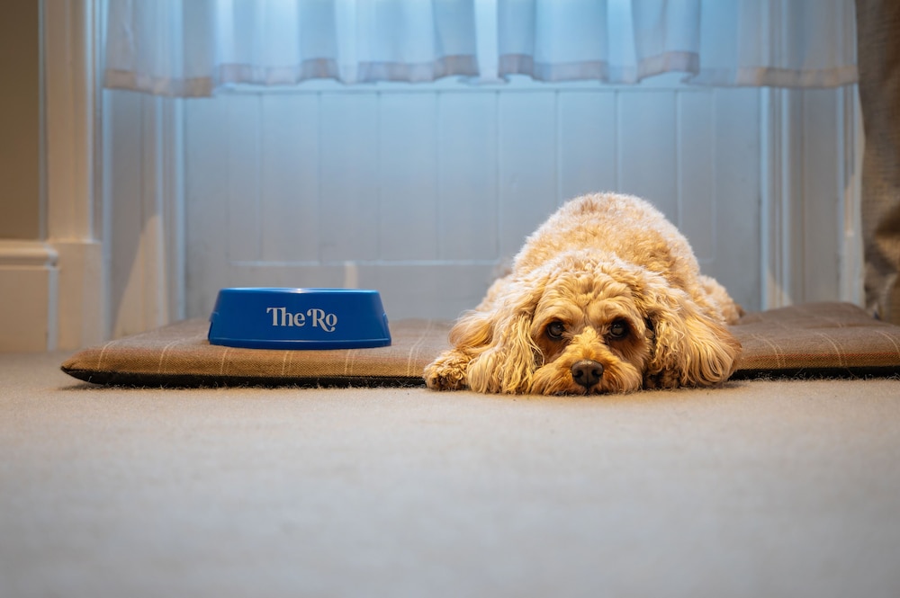 PET FRIENDLY DOUBLE photo 2