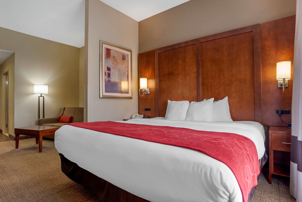 Suite, 1 King Bed, Non Smoking - Photo 1