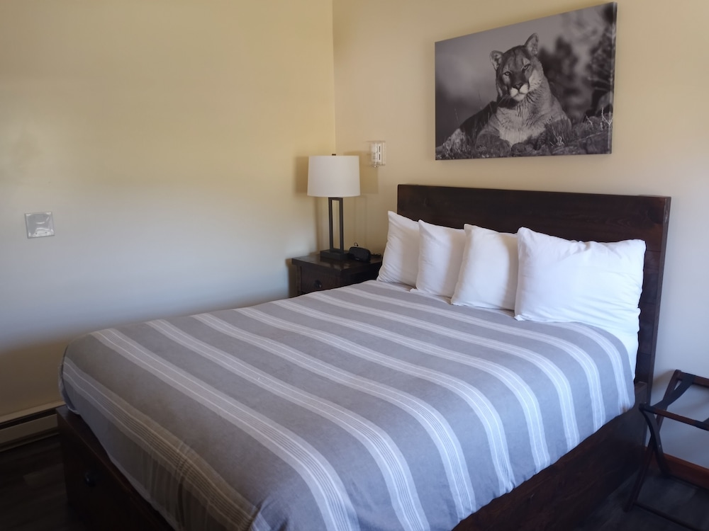 Superior Studio, 1 Queen Bed, Non Smoking, River View