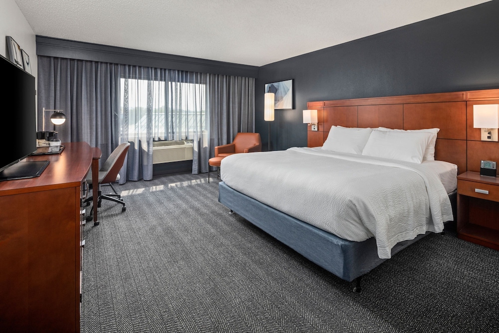 Room, 1 King Bed, City View