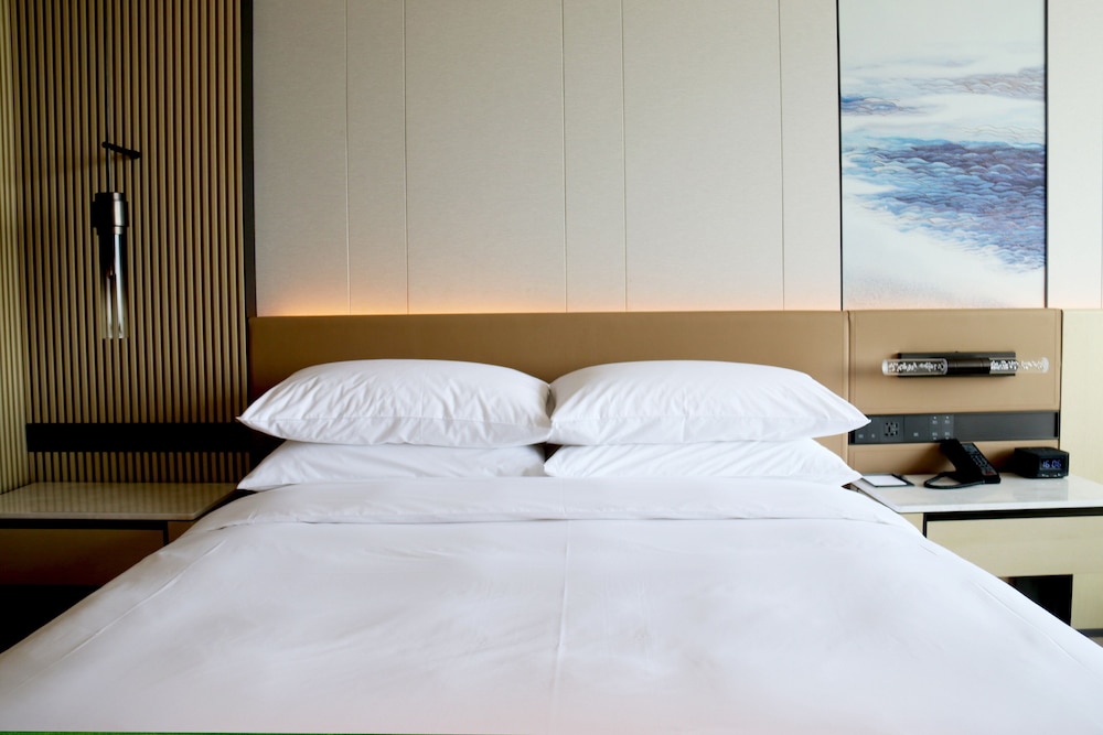 Room, 1 King Bed with Sofa bed photo 2
