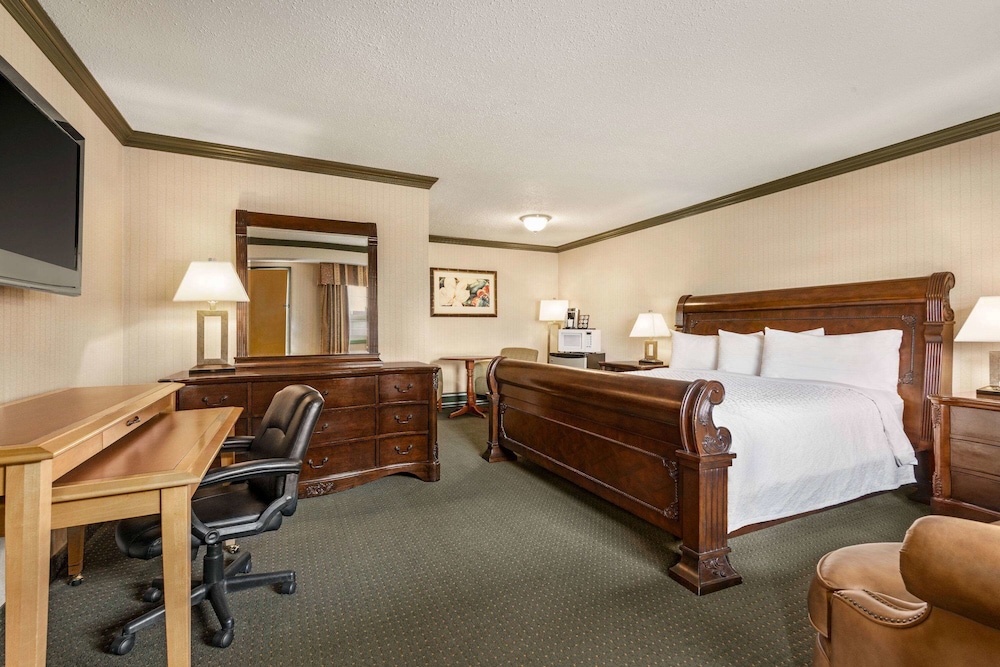 Room, 1 King Bed, Non Smoking photo 2
