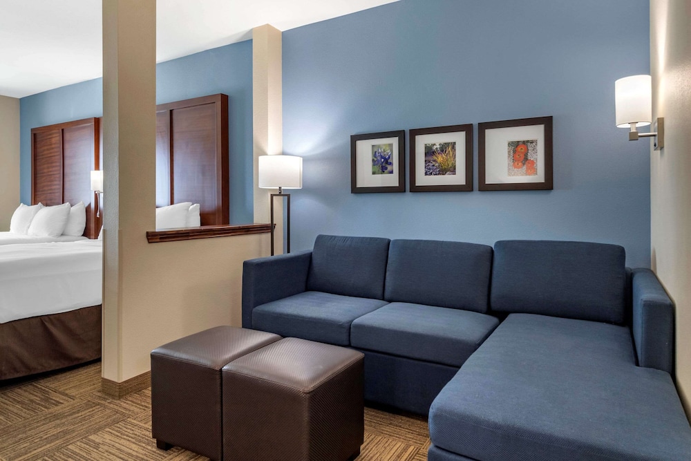 Suite, Multiple Beds, Accessible, Non Smoking - Photo 8