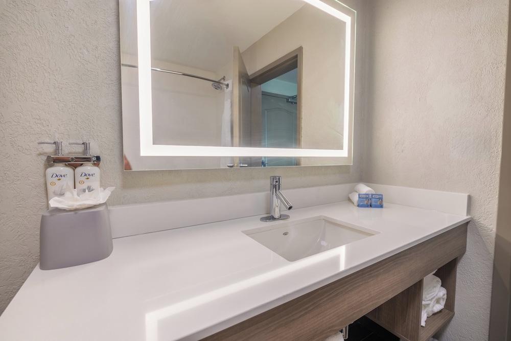 Suite, 1 King Bed, Accessible (Communications) - Photo 3