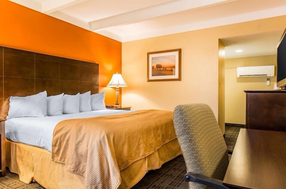 Basic Single Room photo 1
