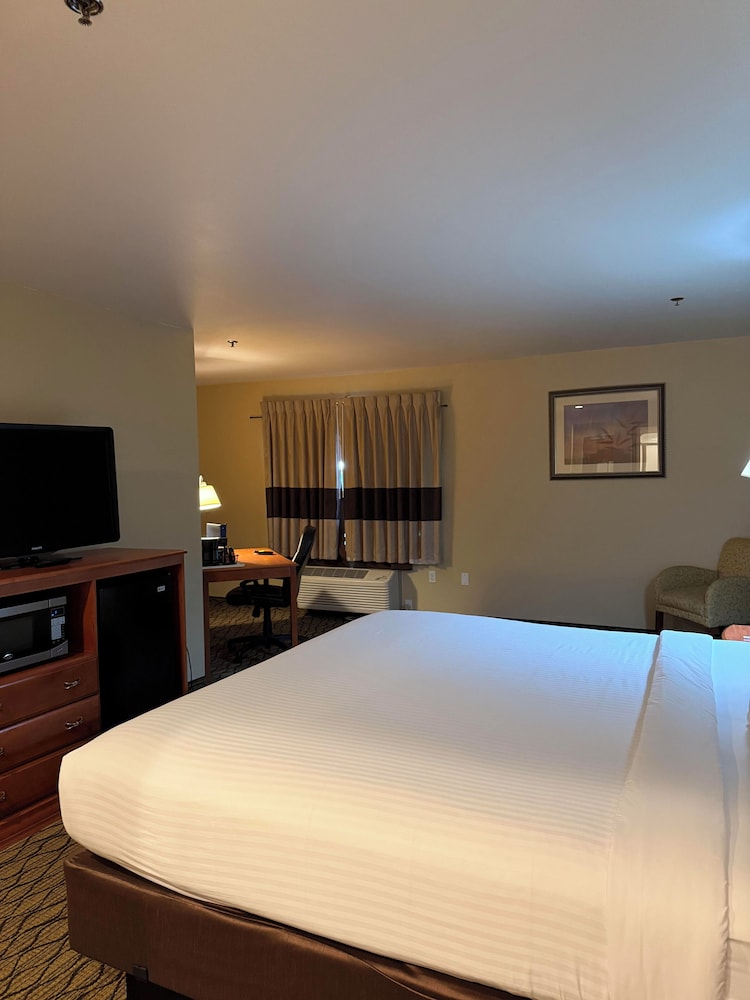 Standard Room, 1 King Bed, Jetted Tub (No Lake View) photo 3