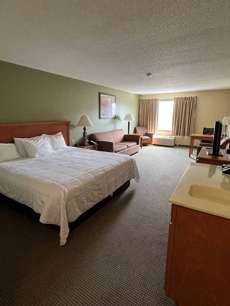 1 King Suite with Sofa bed photo 2