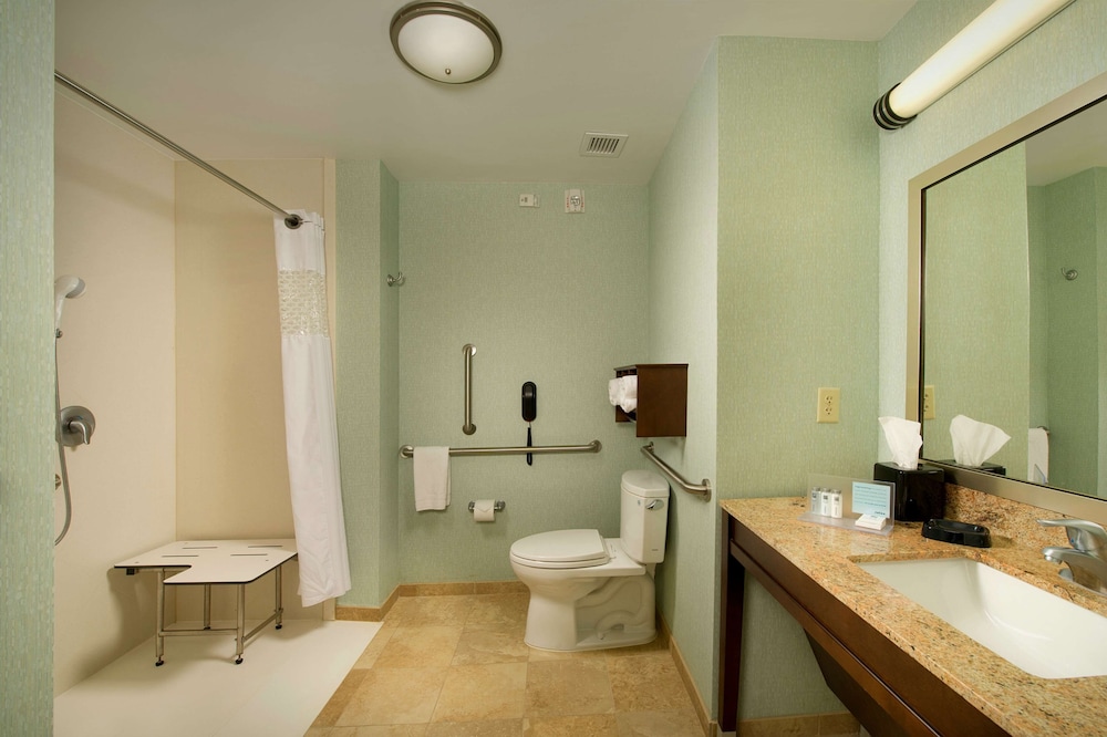 Room, 1 King Bed, Accessible, Non Smoking (Roll-in Shower) photo 3