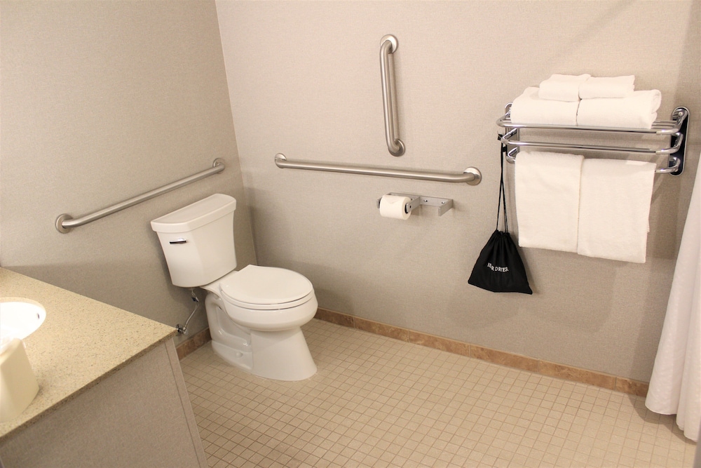 Suite, 1 King Bed, Accessible (Roll-In Shower) - Photo 5