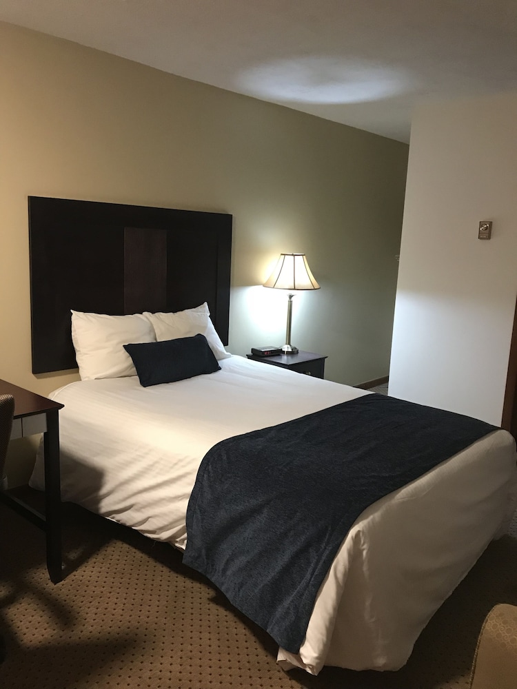 Standard Room, 1 Double Bed, Refrigerator & Microwave photo 1