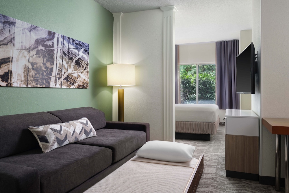 Suite, 1 King Bed with Sofa bed photo 1