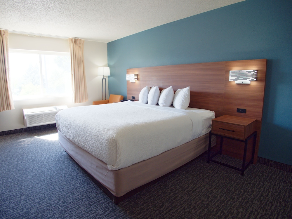 Studio Suite, 1 King Bed, Non Smoking
