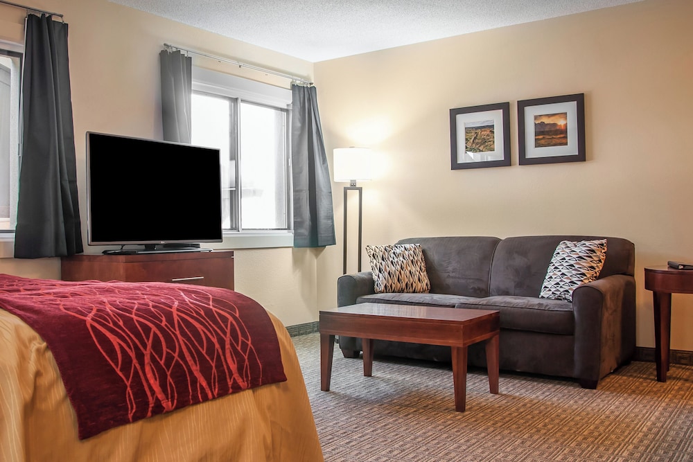 Suite, 1 King Bed with Sofa bed, Non Smoking photo 1