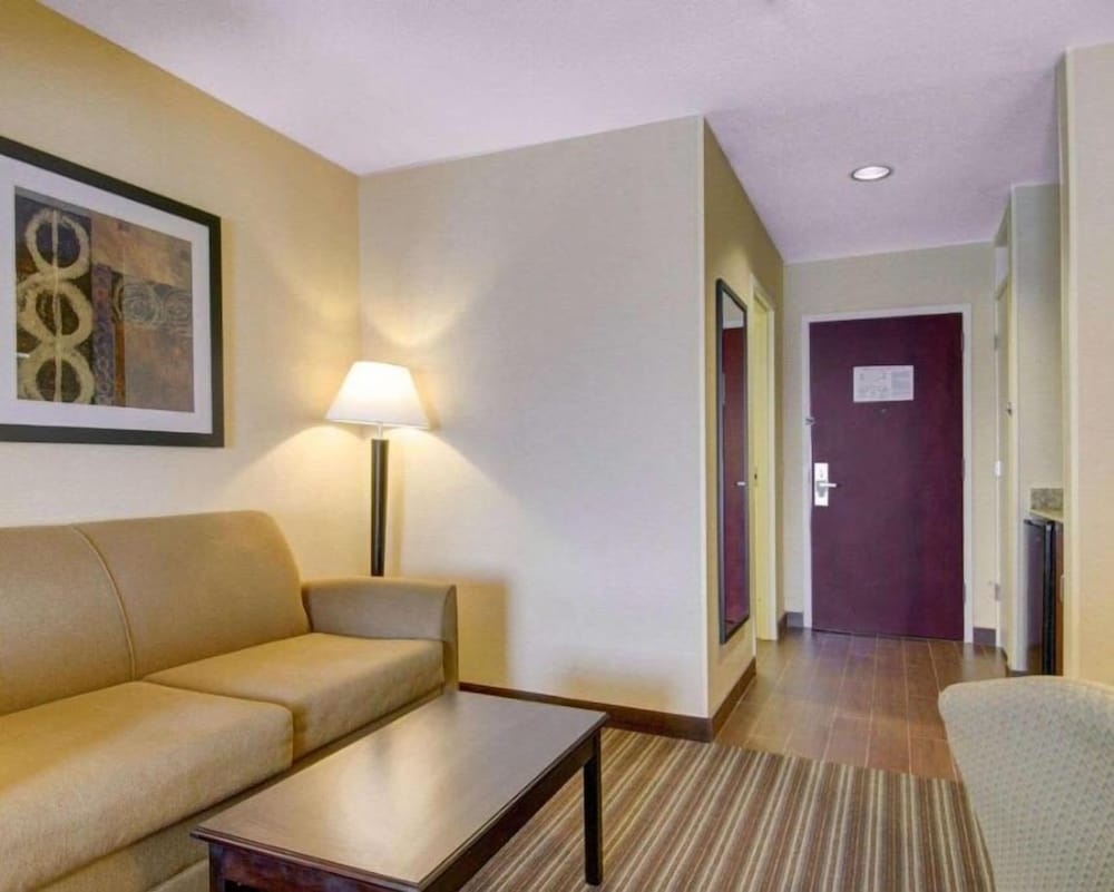 Suite, 1 King Bed With Sofa Bed photo 2
