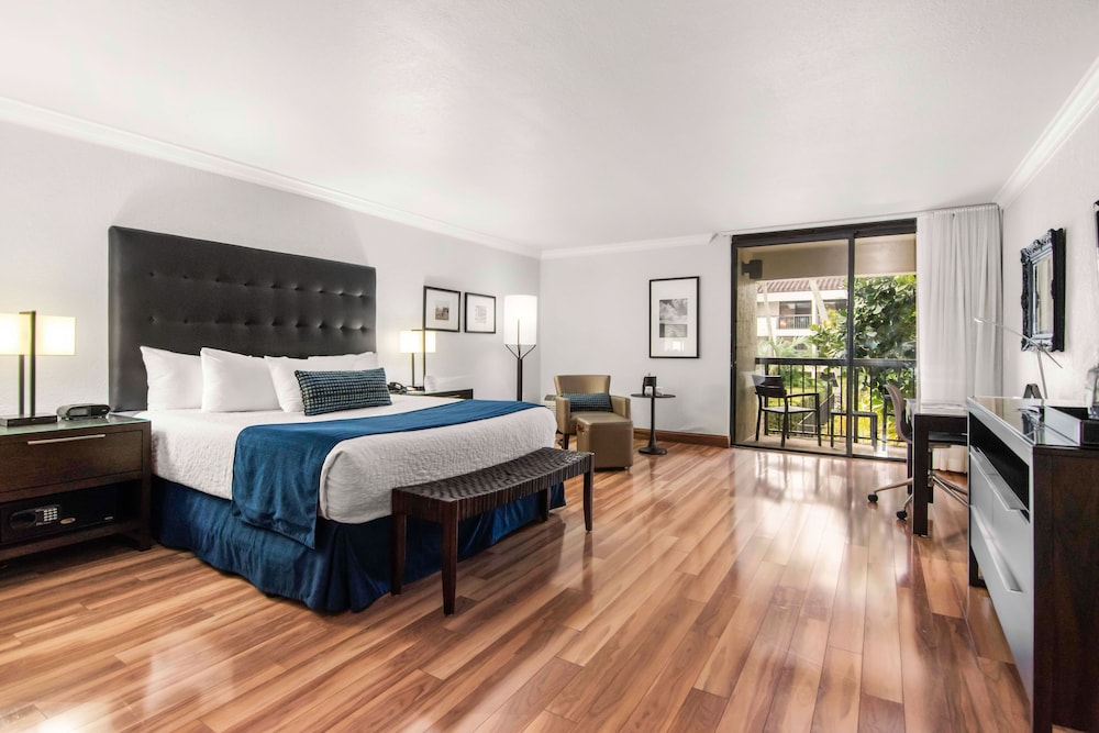 Junior Suite - Photo 1