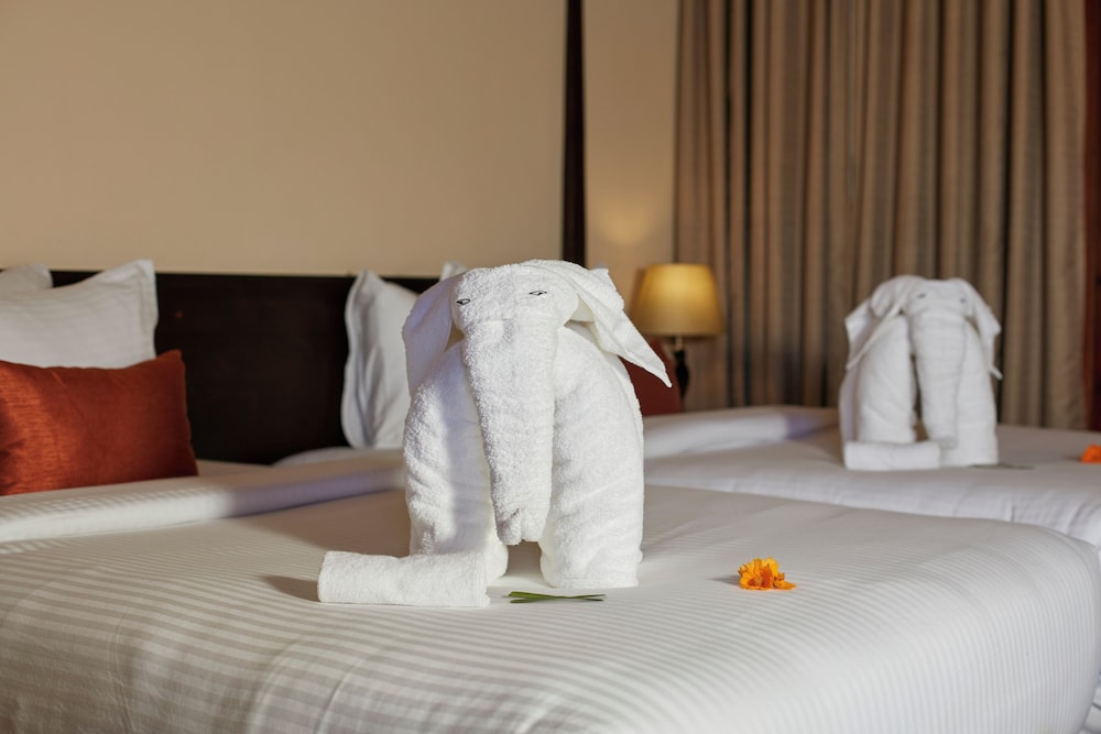 Superior Twin Room photo 3