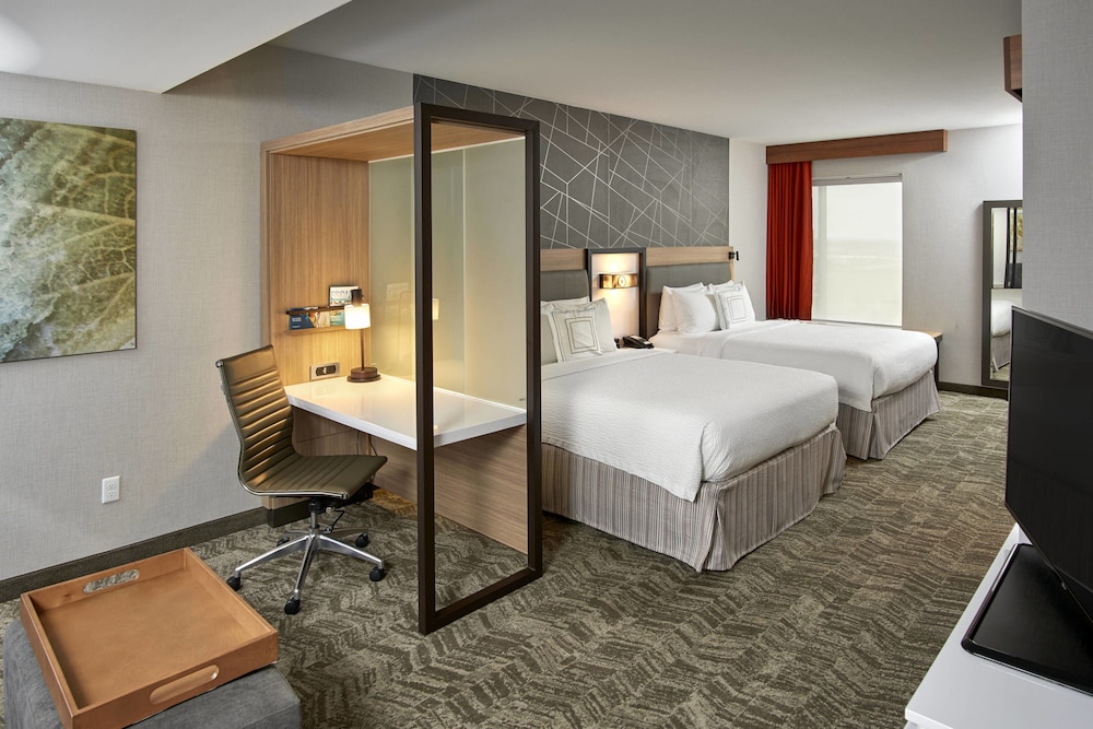 Suite, Multiple Beds (Mobility/Hearing Access, Roll-In Shwr) photo 1