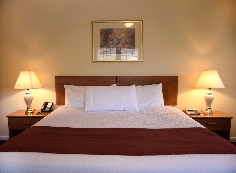Standard Room, 1 King Bed, Non Smoking (Poolside) photo 1