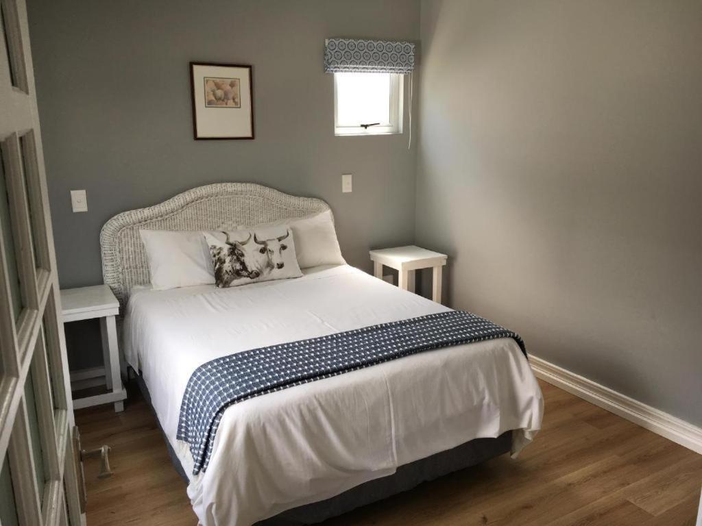 Comfort Apartment photo 1