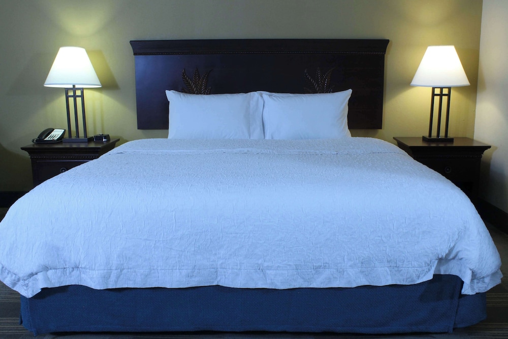 Room, 1 King Bed, Accessible, Non Smoking (w/ roll-in shower) - Photo 5