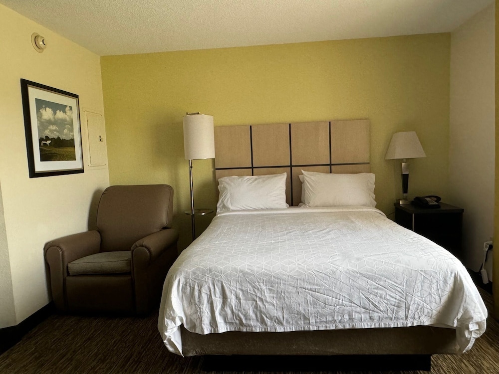 Studio Suite - Photo 2
