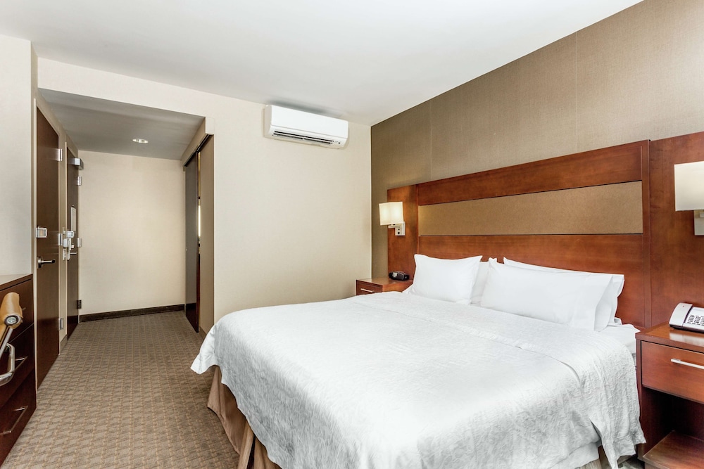 Room, 1 King Bed, Accessible (Roll-In Shower)