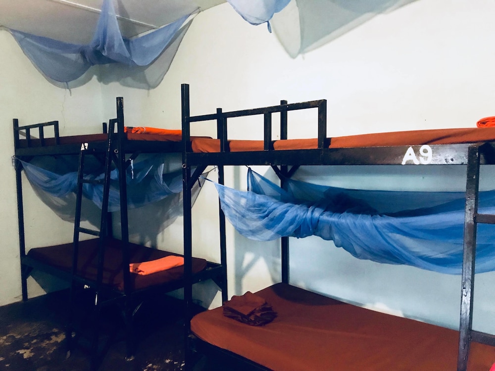 Bed in 8-bed Mixed Dormitory photo 2