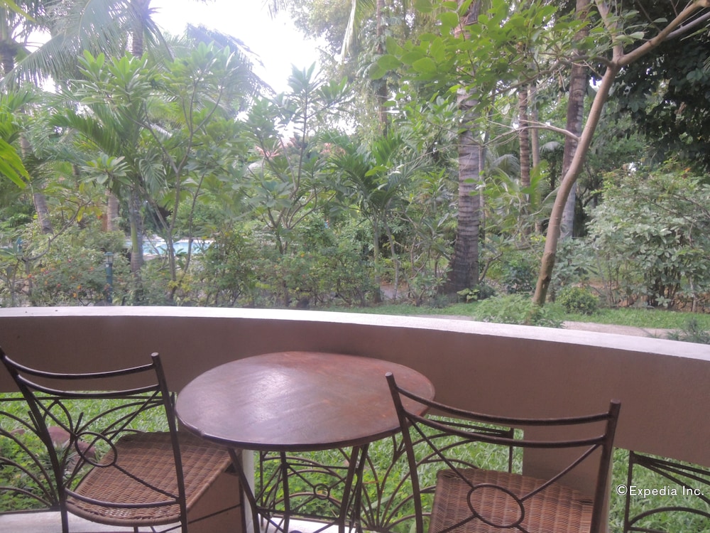 Garden view economy room photo 2