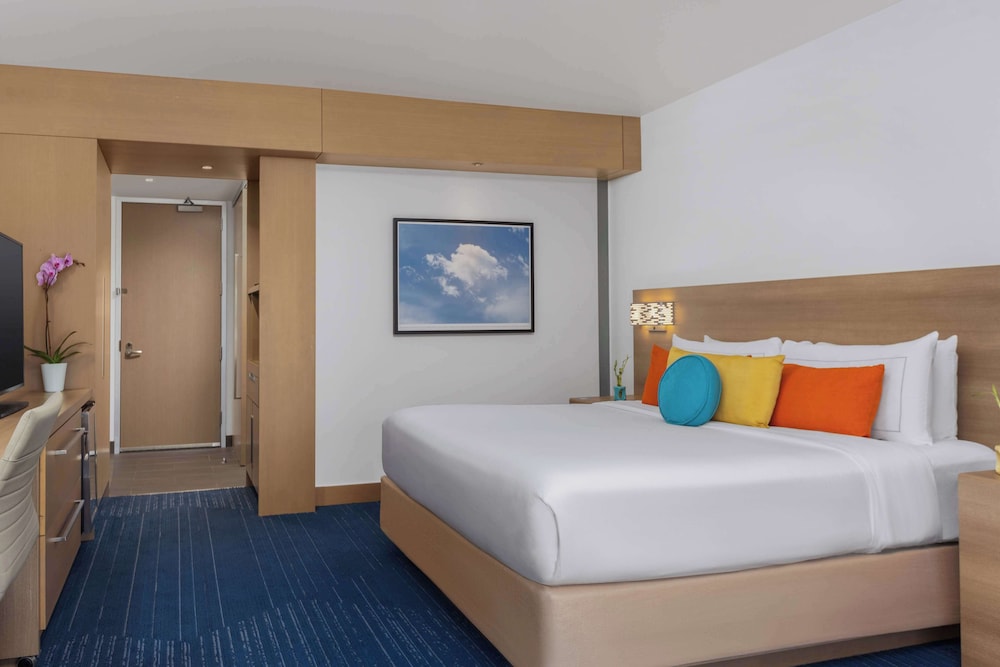 Room, 1 King Bed with Sofa bed