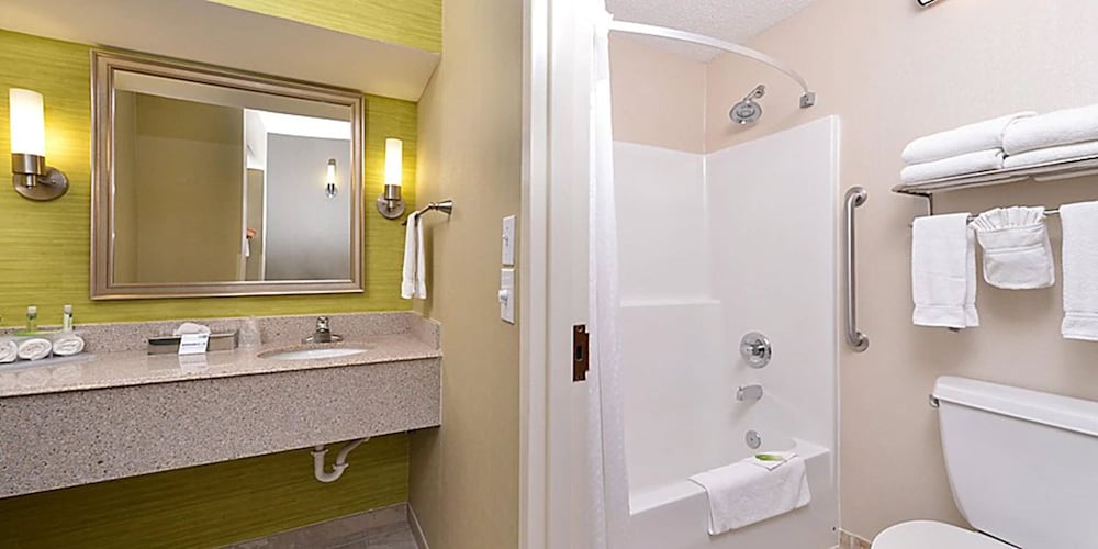 Suite, 1 King Bed - Photo 3