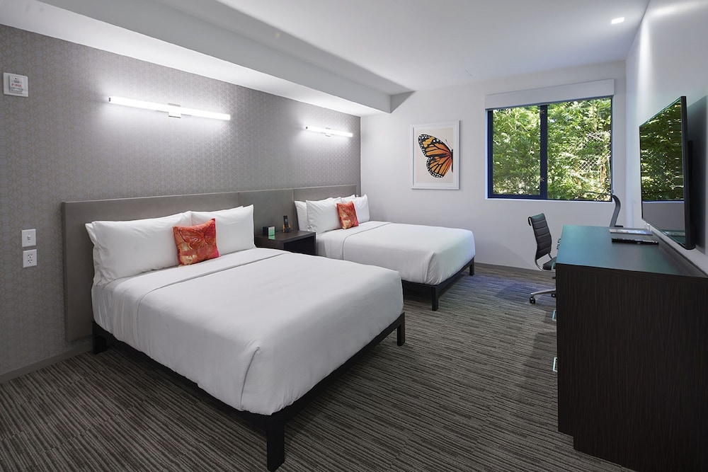 Premium Room, 2 Queen Beds - Photo 1