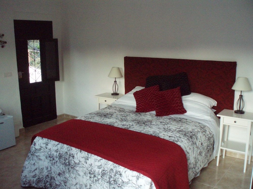 Superior Double Room, 1 King Bed, Garden View photo 3