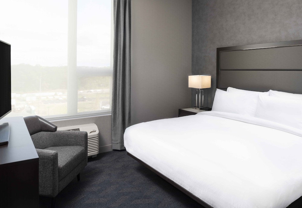 Suite, 1 Bedroom, Corner (Mobility/Hearing Access, Roll-in Shwr)