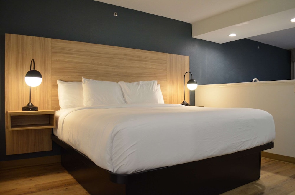 Suite, 1 King Bed, Non Smoking (Efficiency) - Photo 15