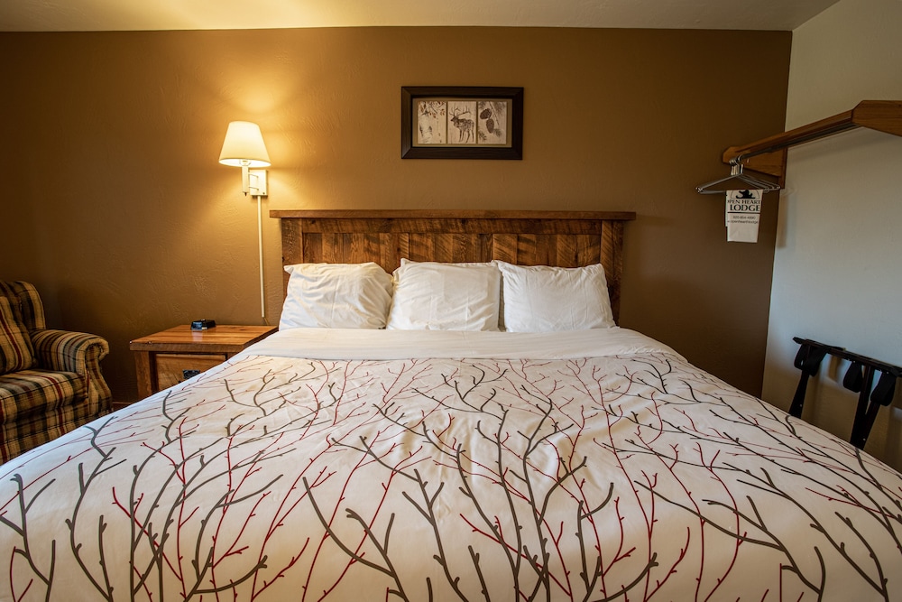 Premium Room, 1 King Bed (No Pets) photo 2