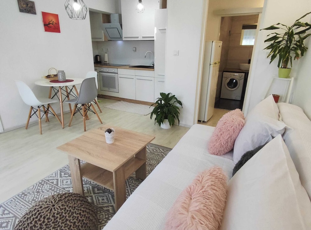 Apartment (One Bedroom Apartment)