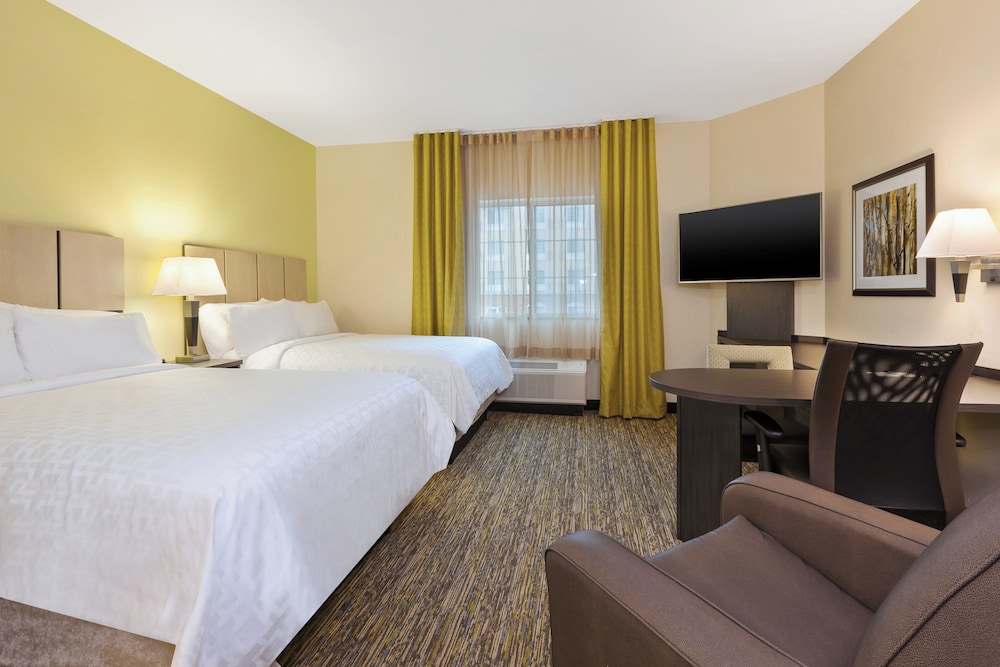 Studio Suite, 2 Double Beds