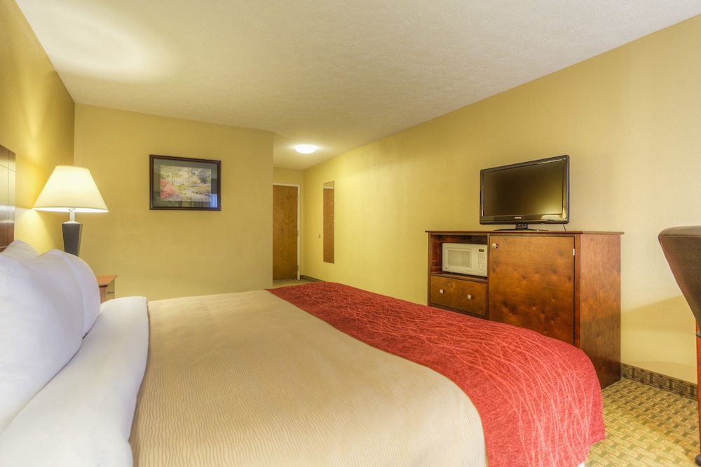 Room, 1 King Bed, Non Smoking - Photo 6