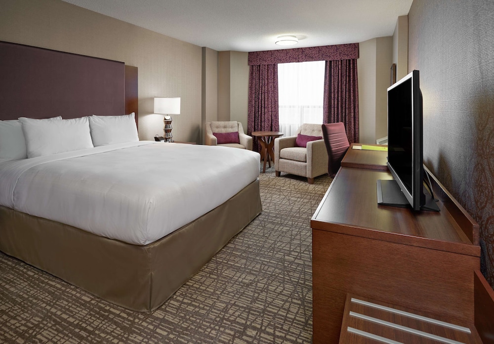 Room, 1 King Bed