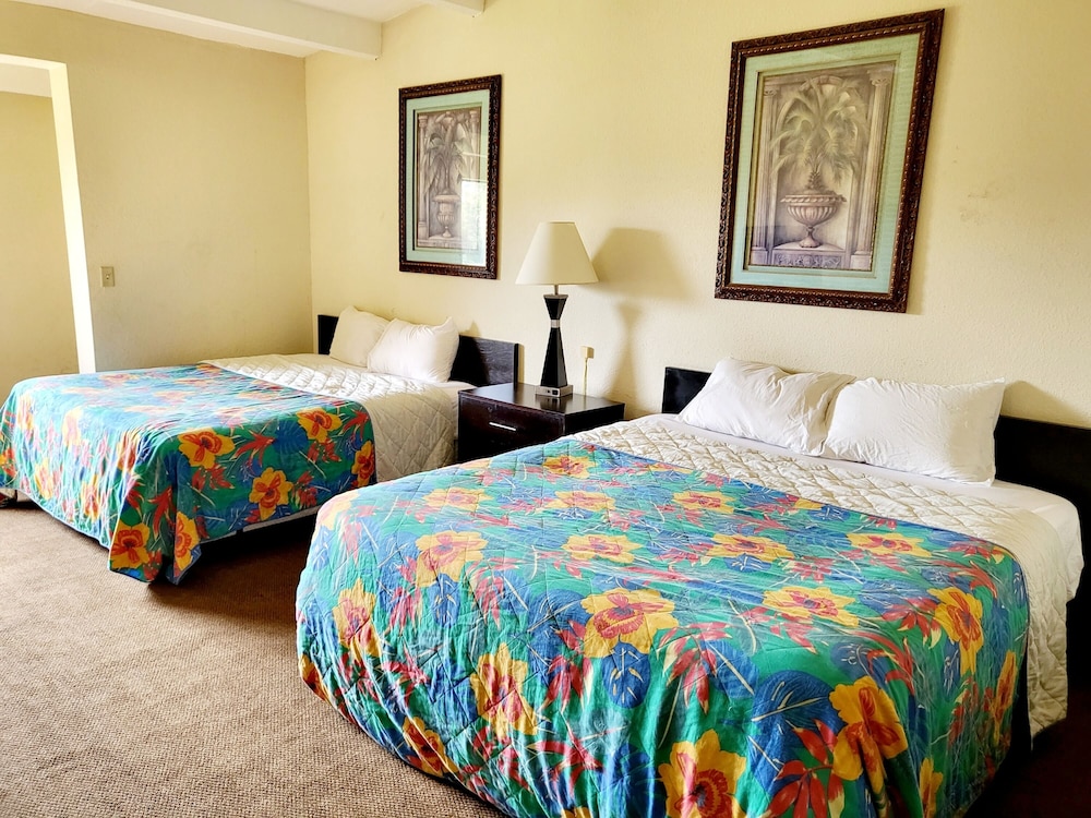 Basic Double Room