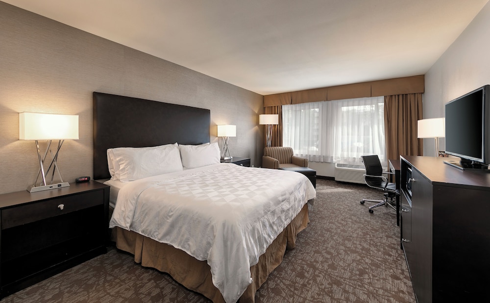 Deluxe Room, 1 King Bed photo 1
